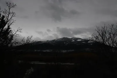 DSC_5874 (Large).JPG